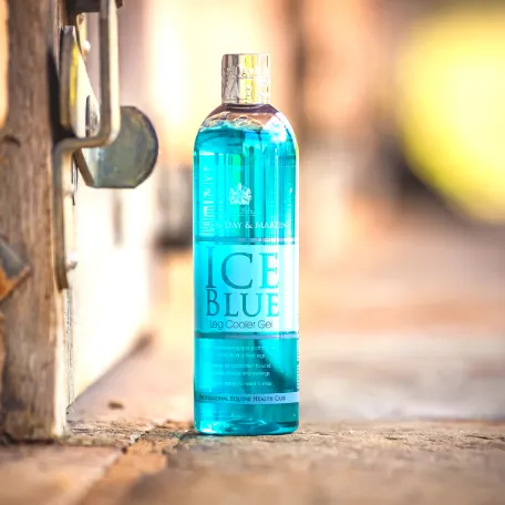 Carr & Day & Martin Ice Blue Leg Cooler