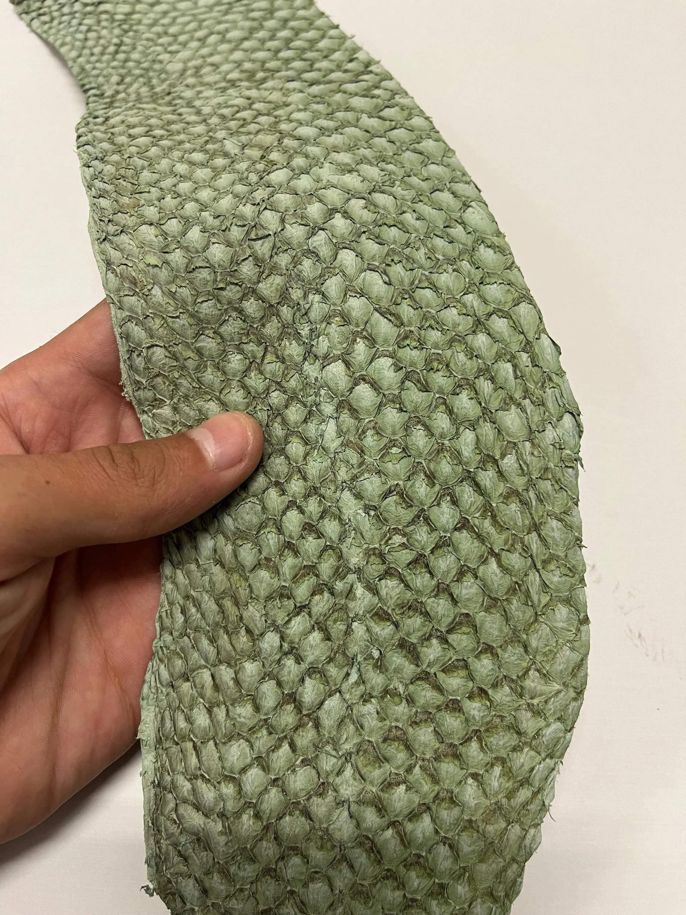 Genuine fish leather hide, perch fish skin, exotic leather for crafts in various colors thickness 0,8mm(2 oz)- 6 skins pack!