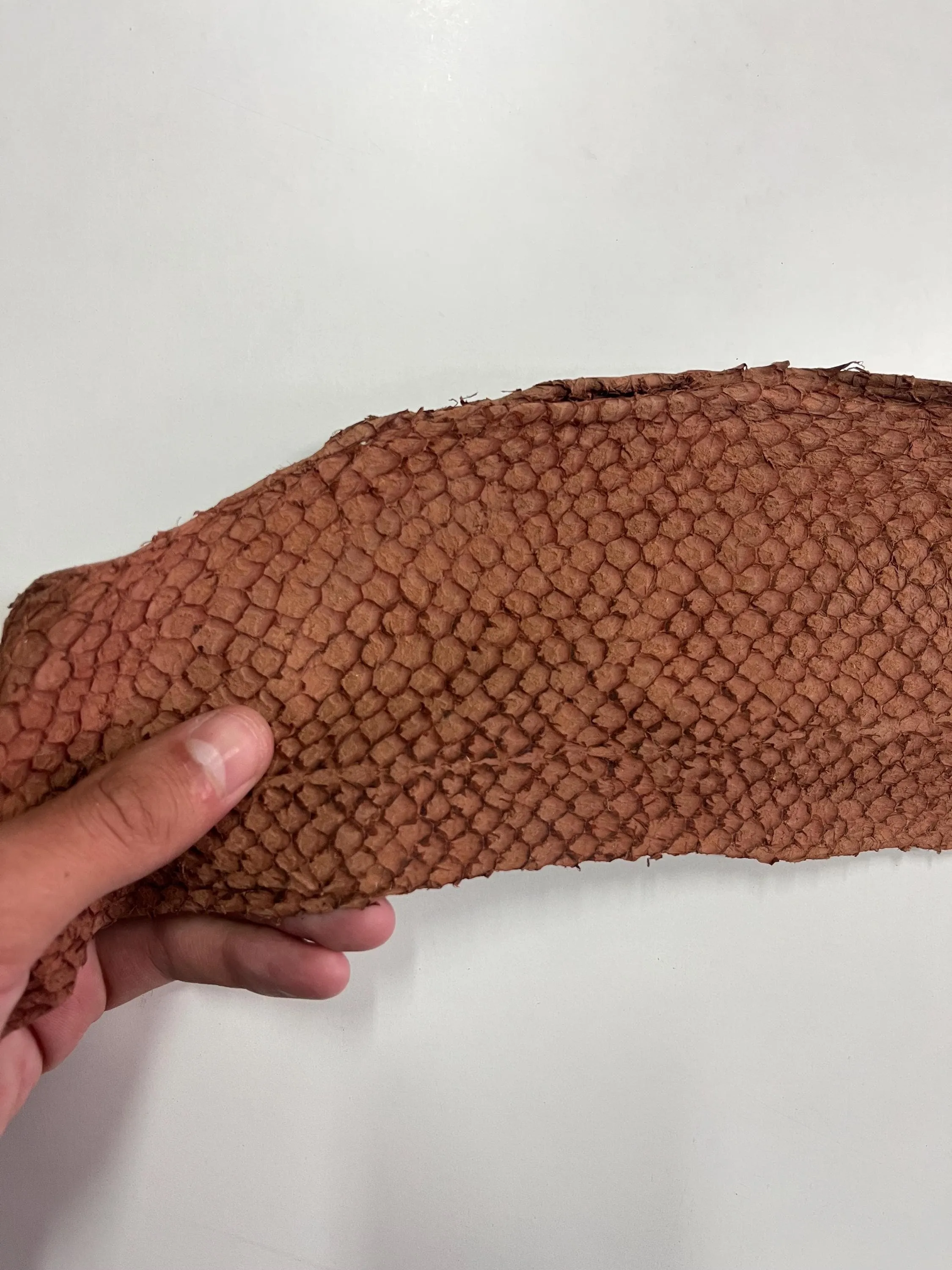 Genuine fish leather hide, perch fish skin, exotic leather for crafts in various colors thickness 0,8mm(2 oz)- 6 skins pack!