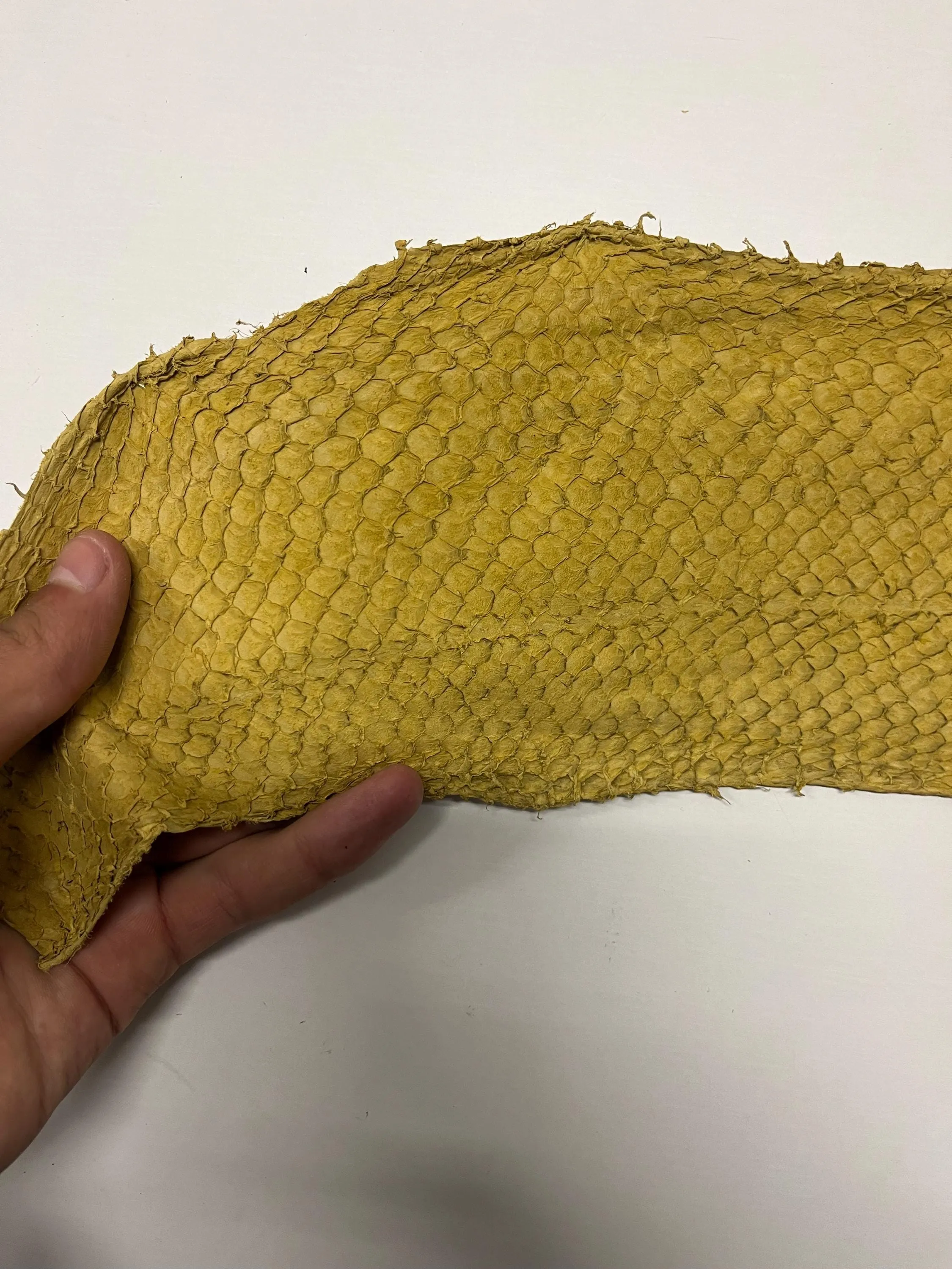 Genuine fish leather hide, perch fish skin, exotic leather for crafts in various colors thickness 0,8mm(2 oz)- 6 skins pack!