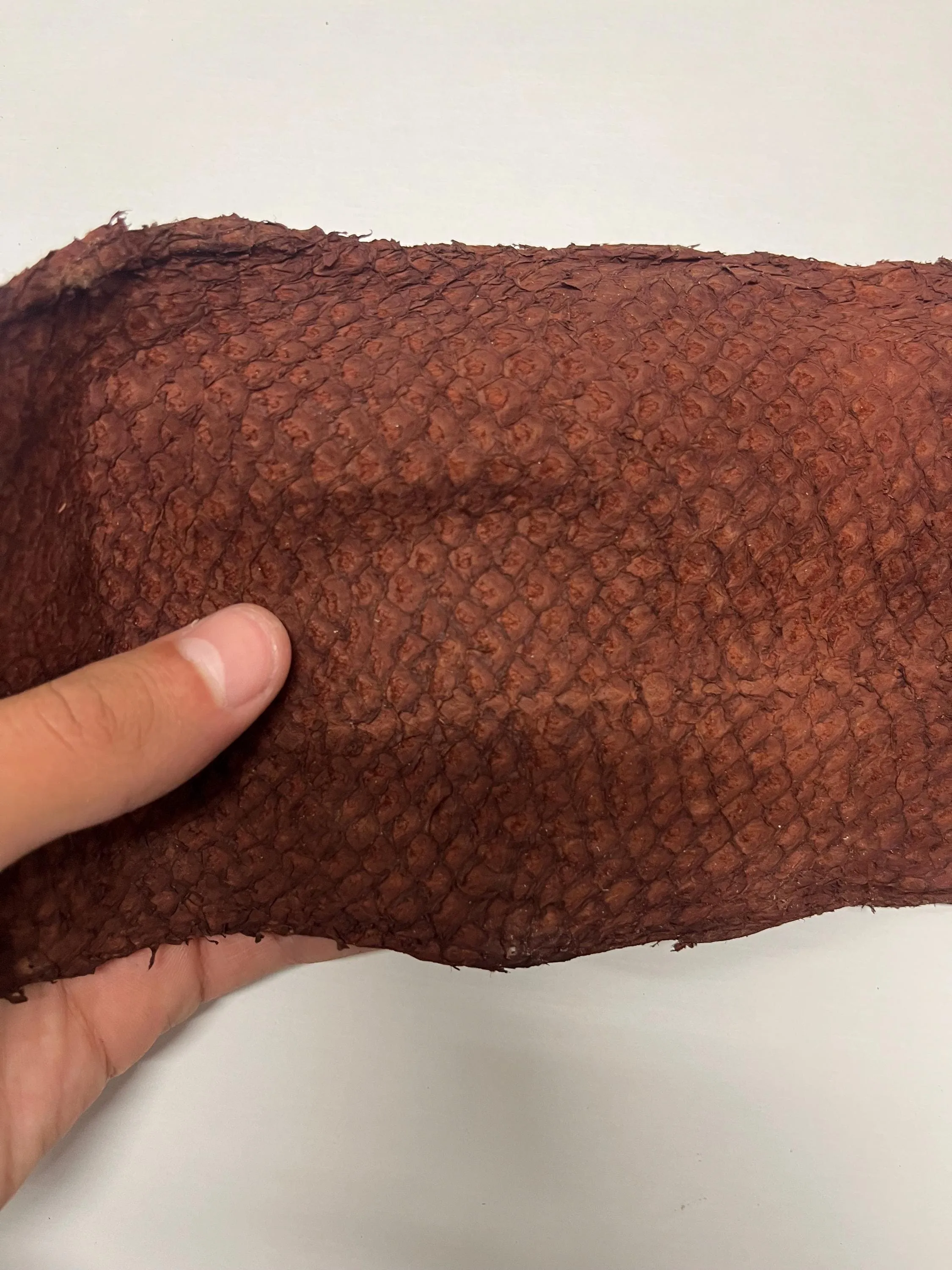 Genuine fish leather hide, perch fish skin, exotic leather for crafts in various colors thickness 0,8mm(2 oz)- 6 skins pack!