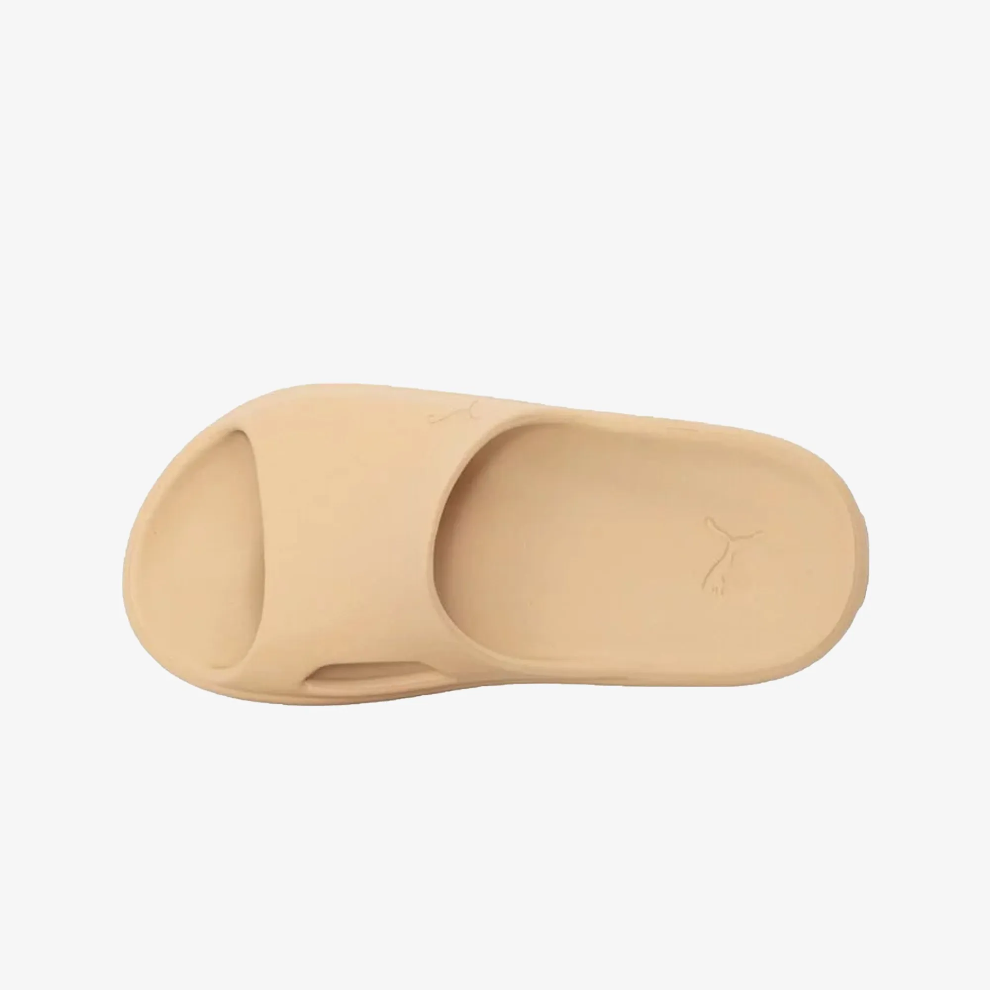 Puma | SHIBUI CAT  { LIGHT SAND