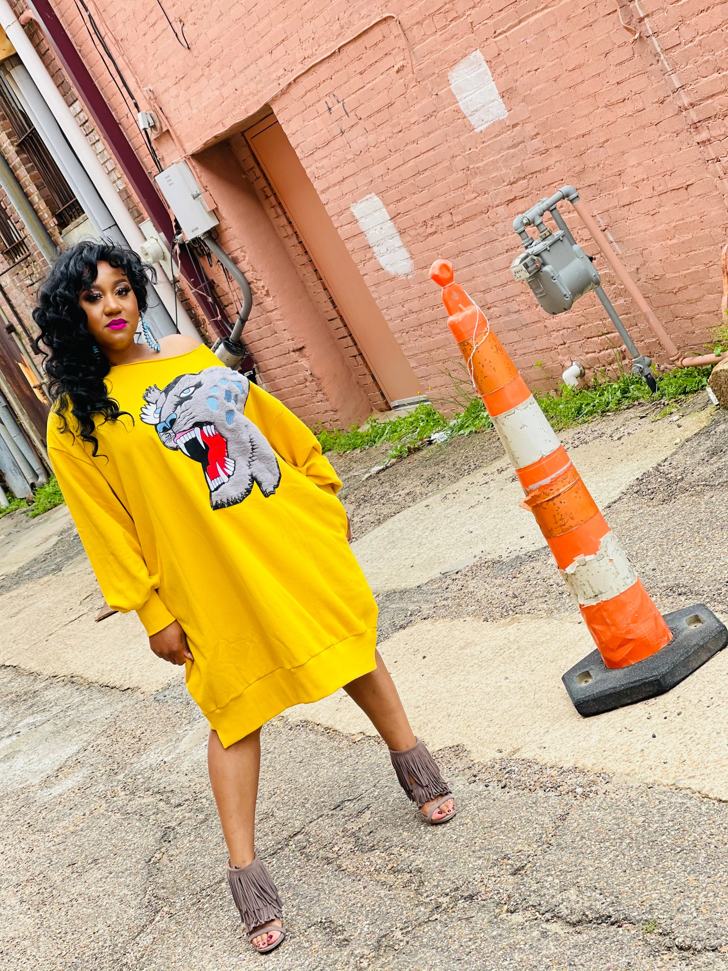 Roar! A Lil Sweatshirt Dress