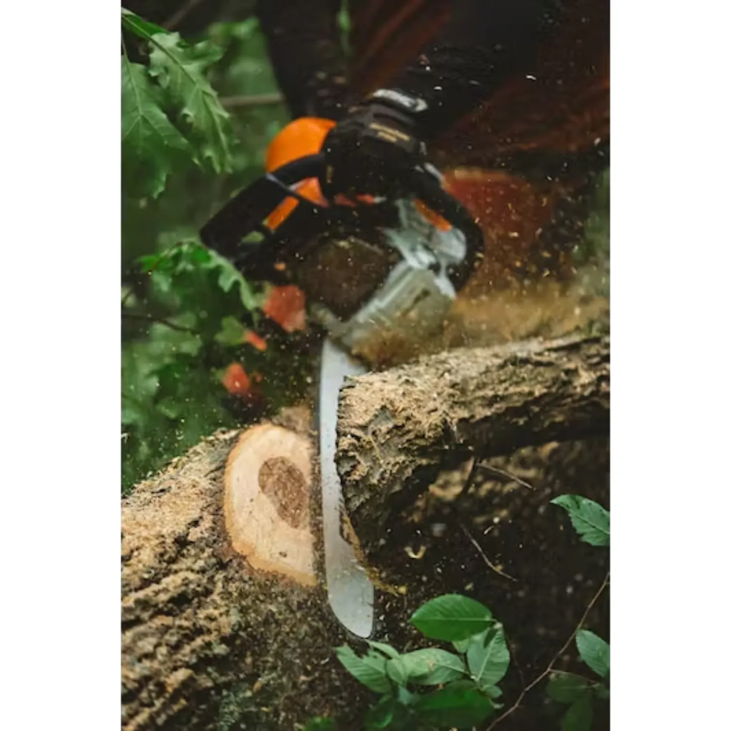 STIHL MS 462 C-M Gas Powered Chainsaw with M-Tronic